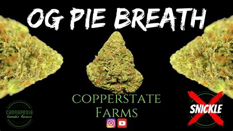 OG Pie Breath Strain Review